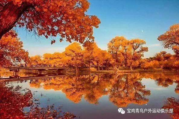 国家地理探险失落之城
