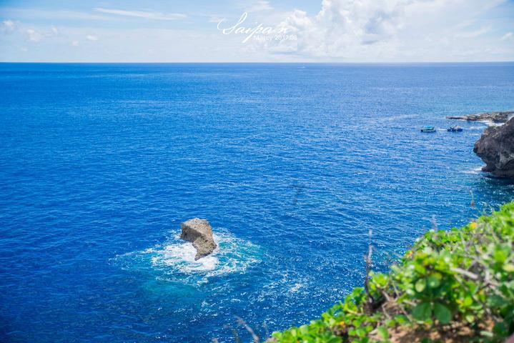 小狗救援行动选关版