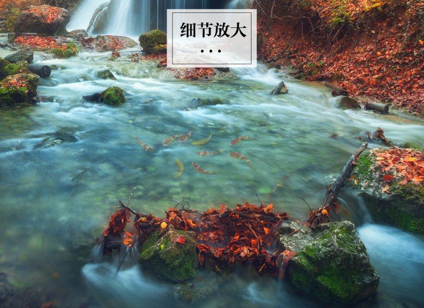 生化危机：浣熊市行动