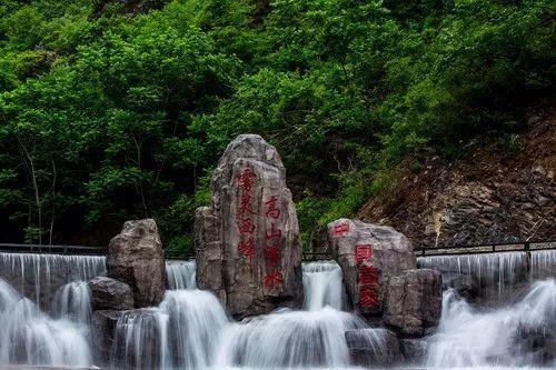 春雨直播app