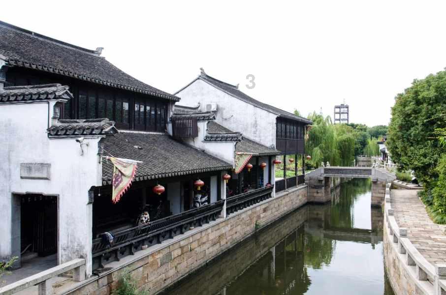 僵尸过人行道